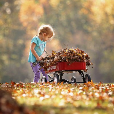 10 Outdoor Autumn Activities To Do with Your Child